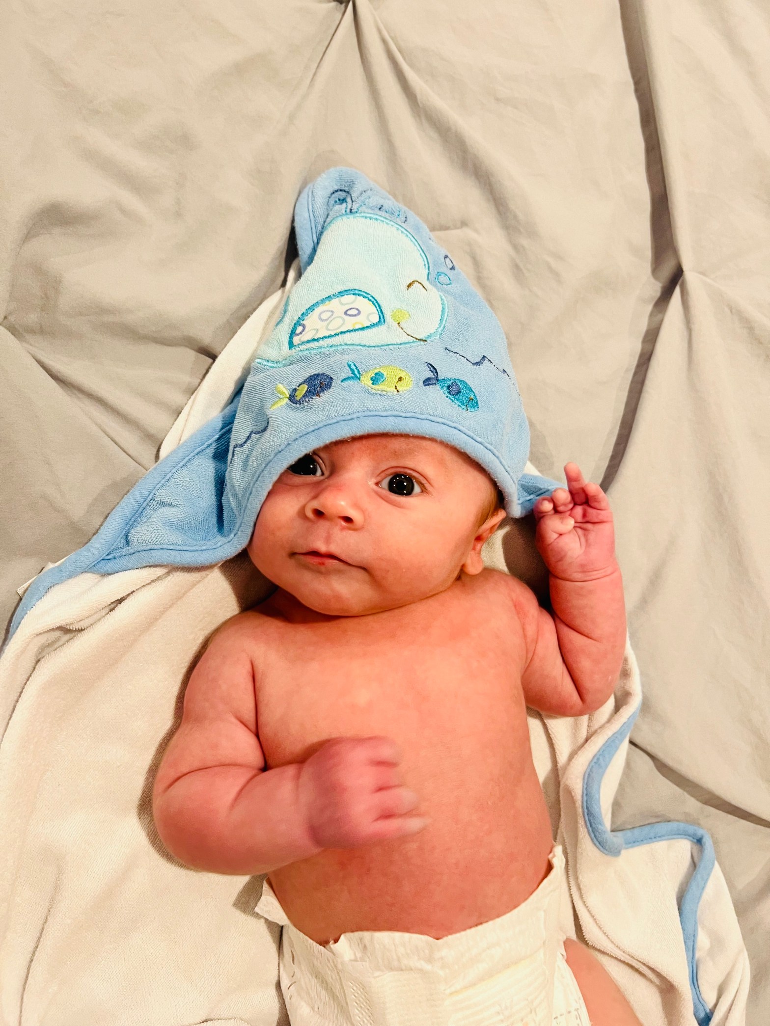 Dr. McHugh Georgia vasectomy reversal success ba.by